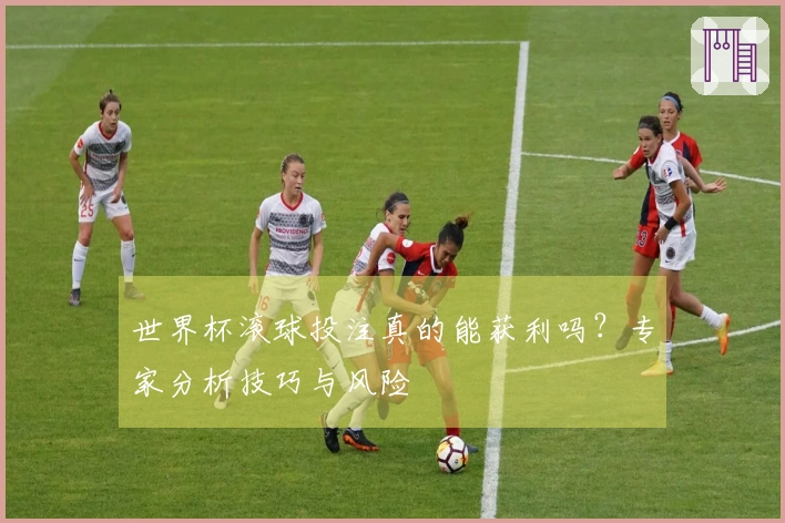 世界杯滚球投注真的能获利吗？专家分析技巧与风险