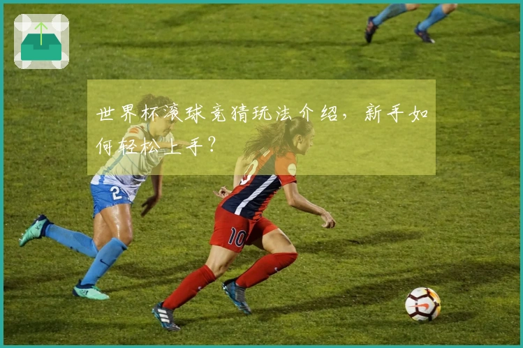 世界杯滚球竞猜玩法介绍，新手如何轻松上手？