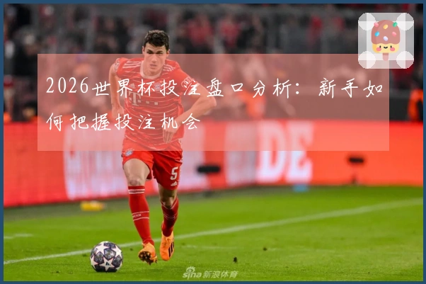 2026世界杯投注盘口分析：新手如何把握投注机会