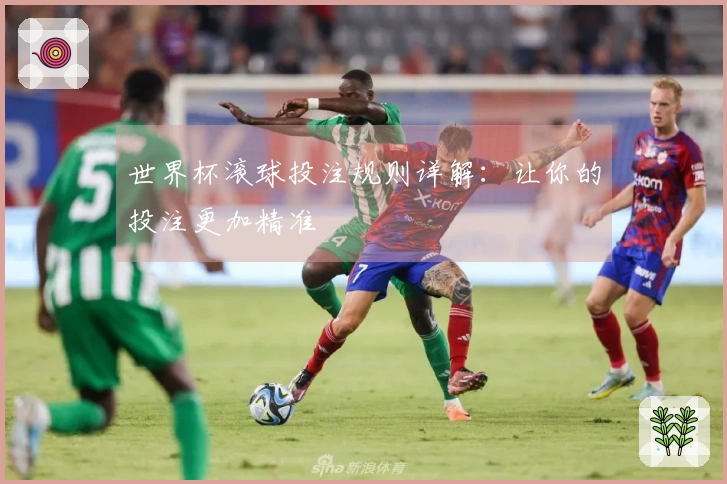 世界杯滚球投注规则详解：让你的投注更加精准